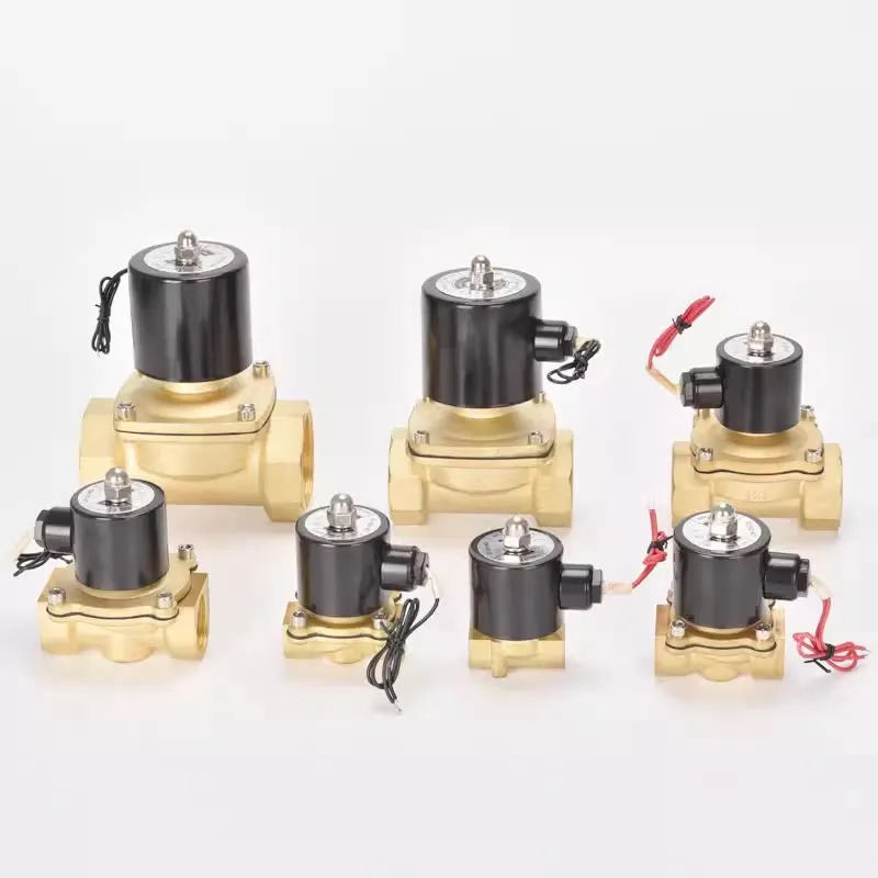 High Precision Normally Closed Water Valve AC220V Air Valve DC24V DC12V Solenoid Valve