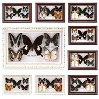 Real butterfly specimen Photo frame Butterfly insect specimen Birthday gift Home decoration small ornament desk decoration