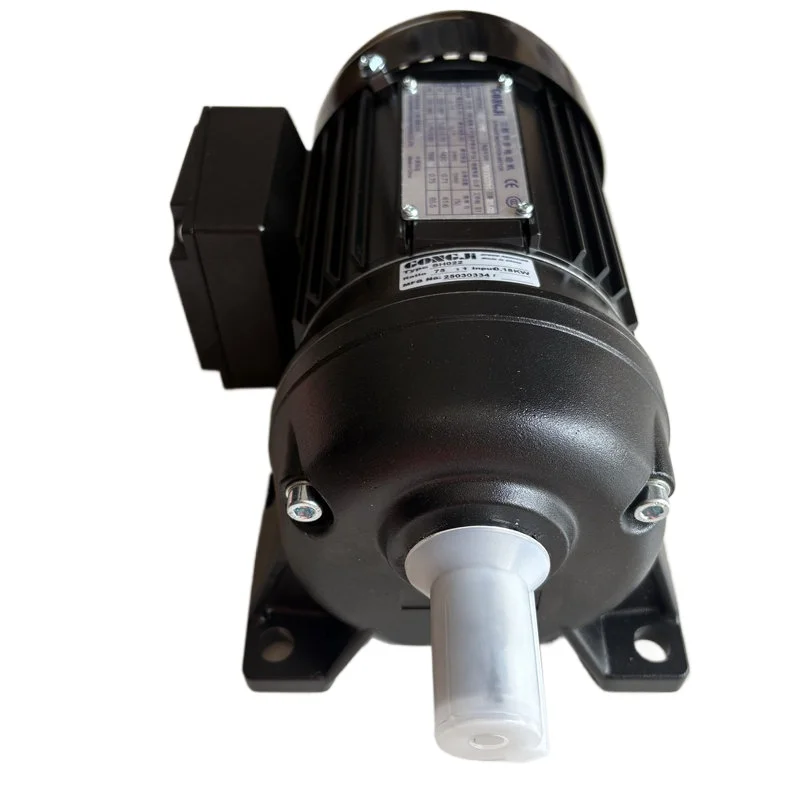 

Овальный двигатель GONGJI Chip Rem M3A402 G522 050:1 G322 090:1 SH022 75:1 0,18 кВт