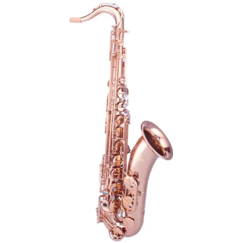 Professional Taishan TSTS-670X Champagne Gold Lacquered Brass Body Tenor Saxophone Bakelite Head Accessories Bb Tone Easy