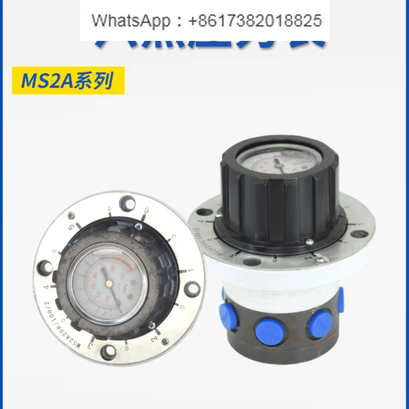 MS2A20/400 100 Six-point pressure gauge L2X metric M14 imperial G1/4 hydraulic switch 250