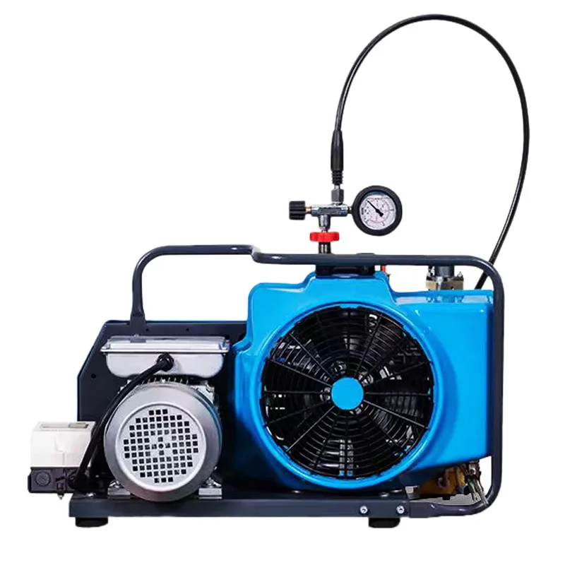 

Submersible gas cylinder high pressure air pump respirator inflator 30mpa air compressor