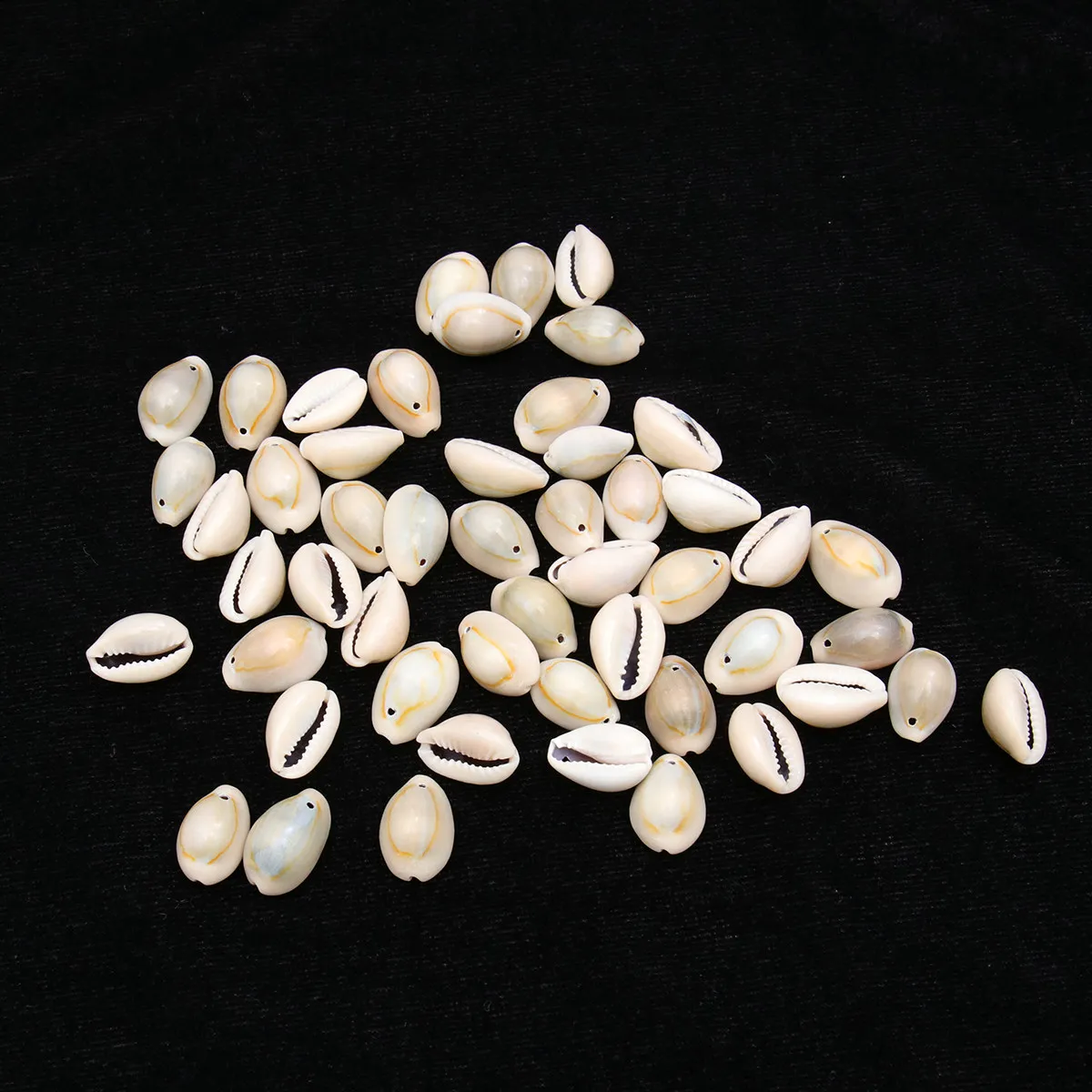 

50Pcs DIY Conch Pendants Natural Sea Snail Shell 1.6cm Single-Opening Unique Smooth Safe DIY Necklace Earring Hanging Decoration