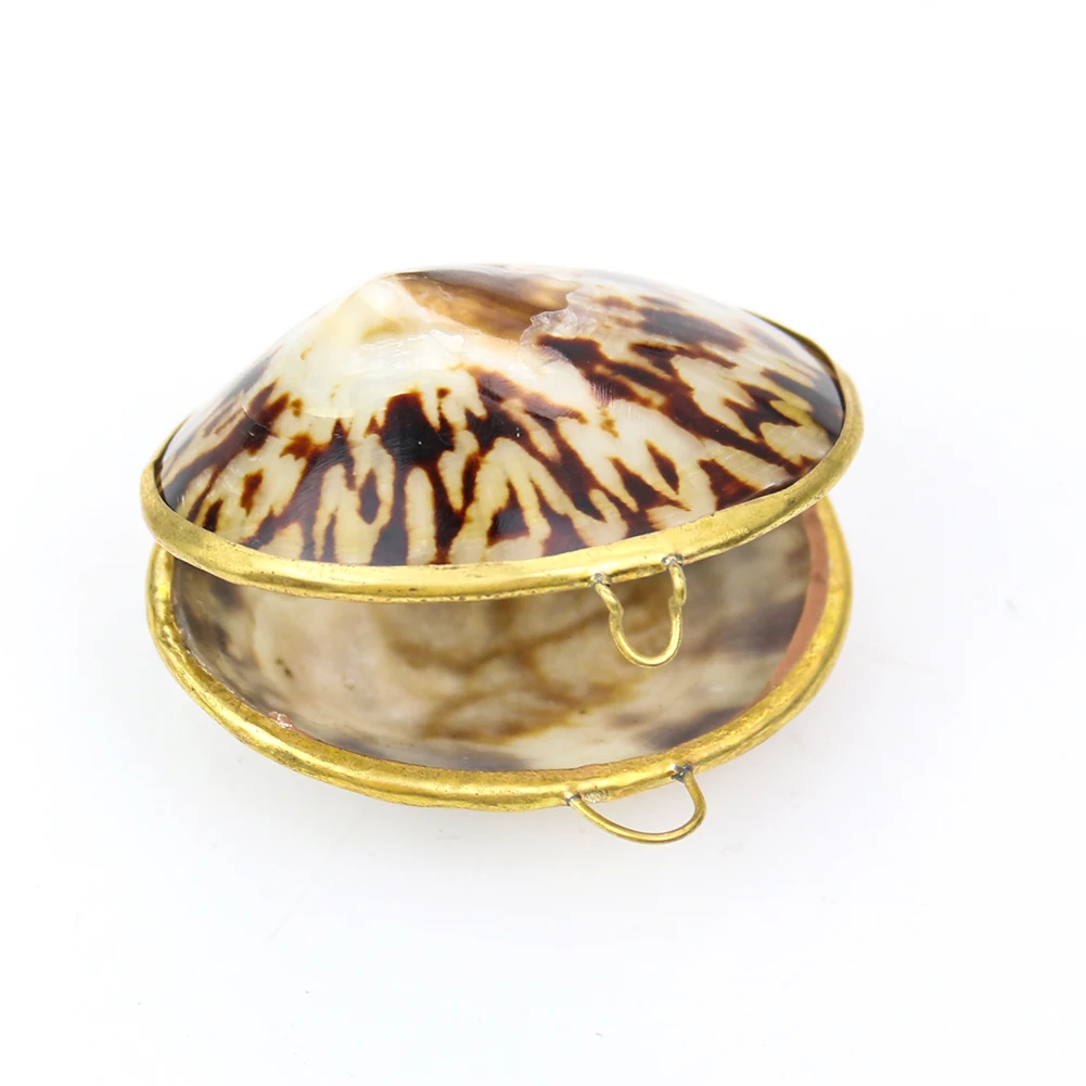 Natural Pink Clams Tortoise Shell Jewelry Packaging Box Charms Display Appliances Box Necklace Earrings Ring Case Pendant Gift