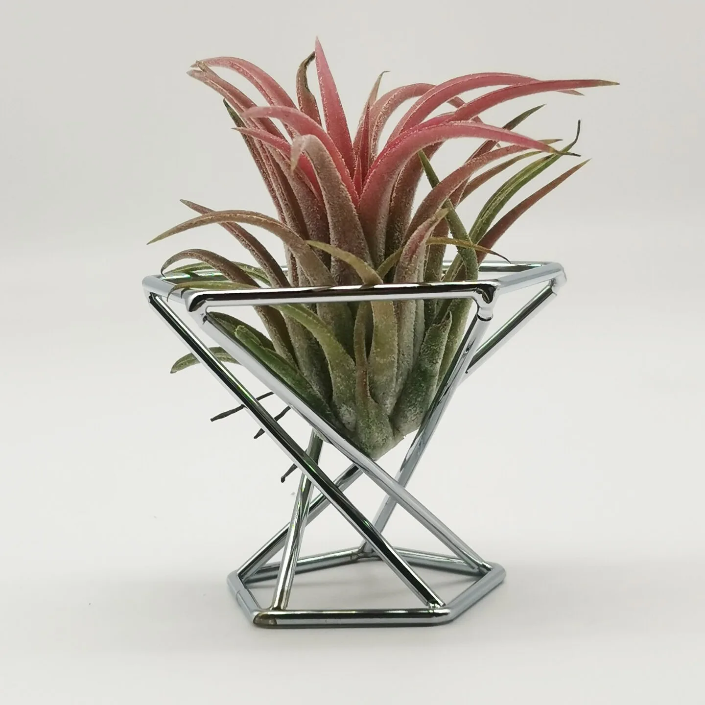 Pineapple Plants Stand Indoor Geometric Air Plant Shelves Iron Orchid Stand Beauty Egg Rack Flower Pot Stand