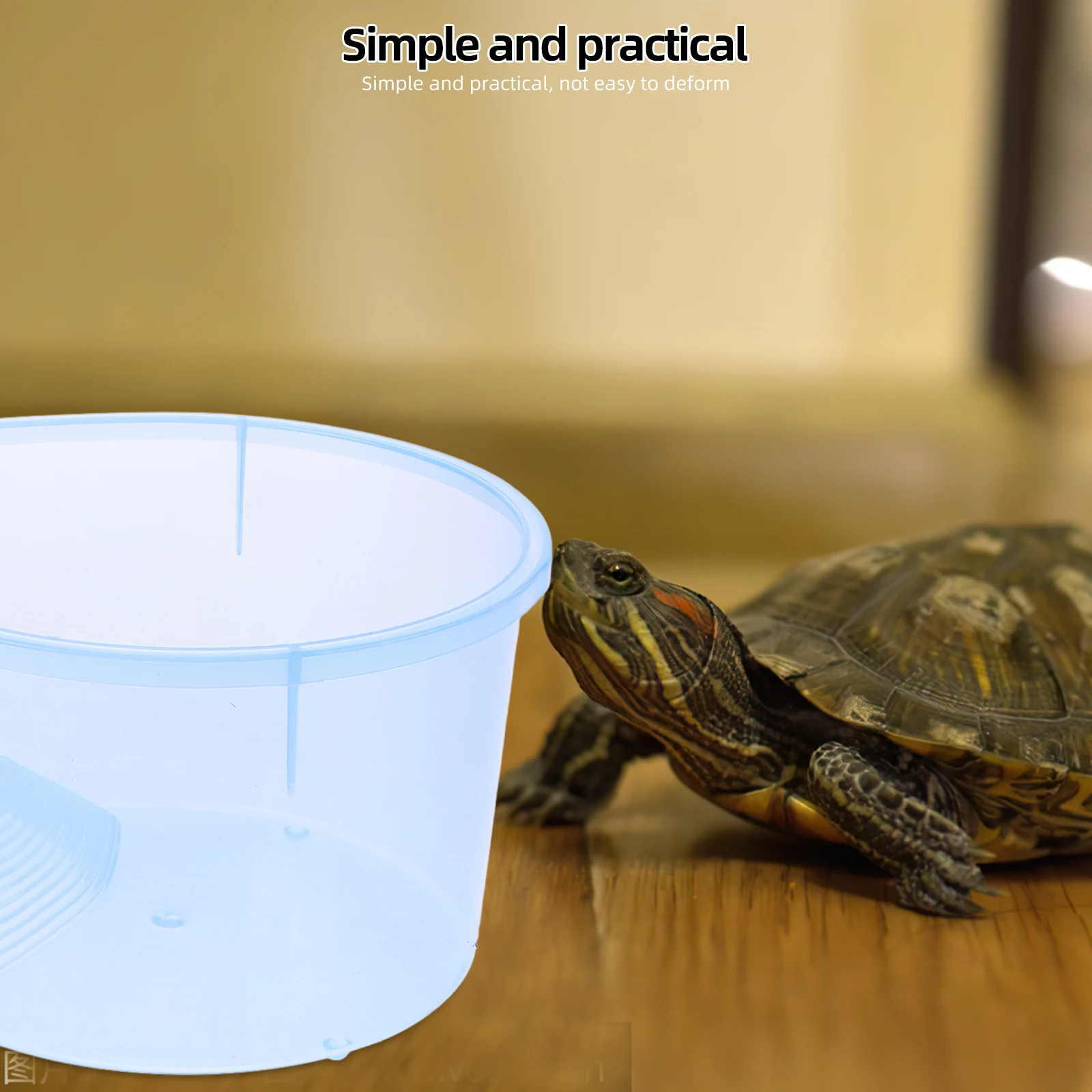 Turtle Tank Breeding Box Open Feeding Slope Translucent Design -Resistant Spacious Water Environment Small Size Sky