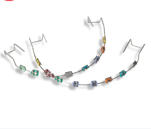

Dental Braces With Complete Decorative Colors Braces With Decorative Colors Fashionable Braces