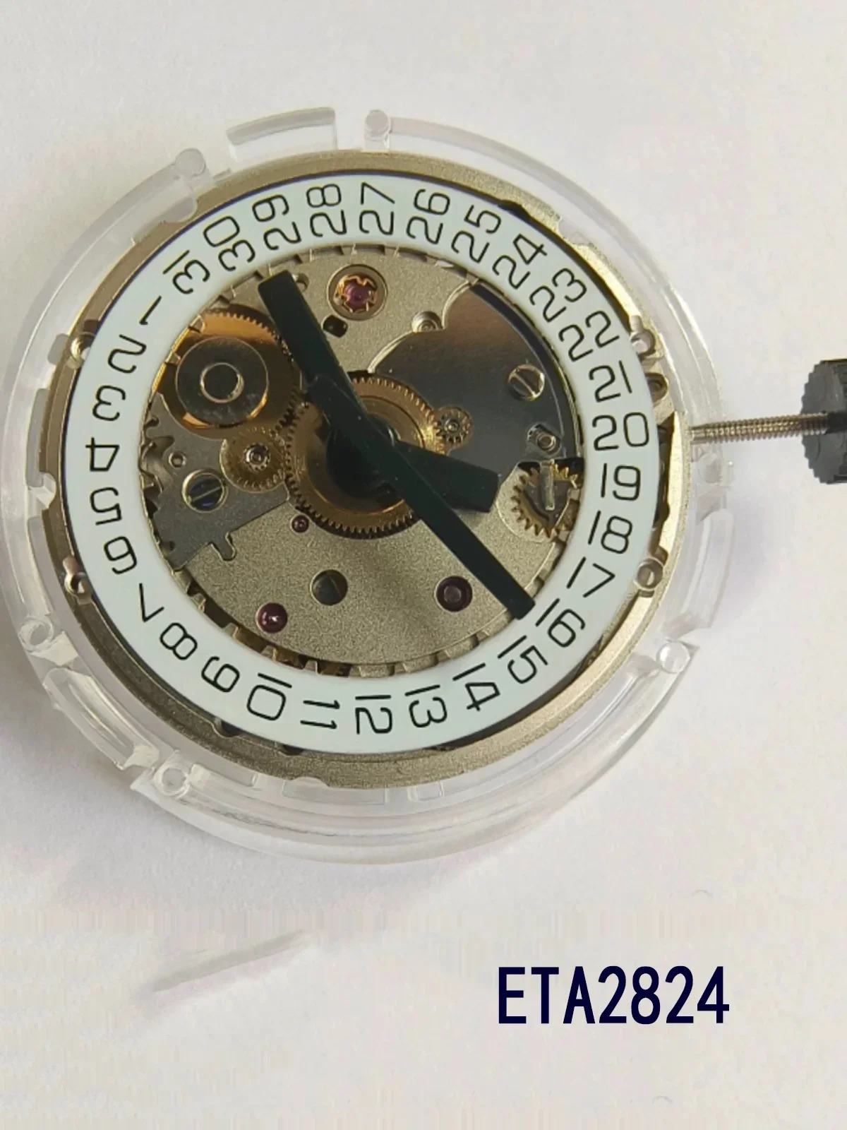 Tianjin Seagull ETA282428362834 movement new ST2130 Tianjin 2824 movement with engraving