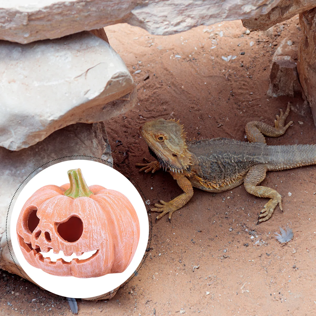 قسط اليقطين نمط الراتنج الزواحف مخبأ ديكور حديقة واقعية سهلة الاستخدام الزواحف إخفاء عش للسحالي الثعابين