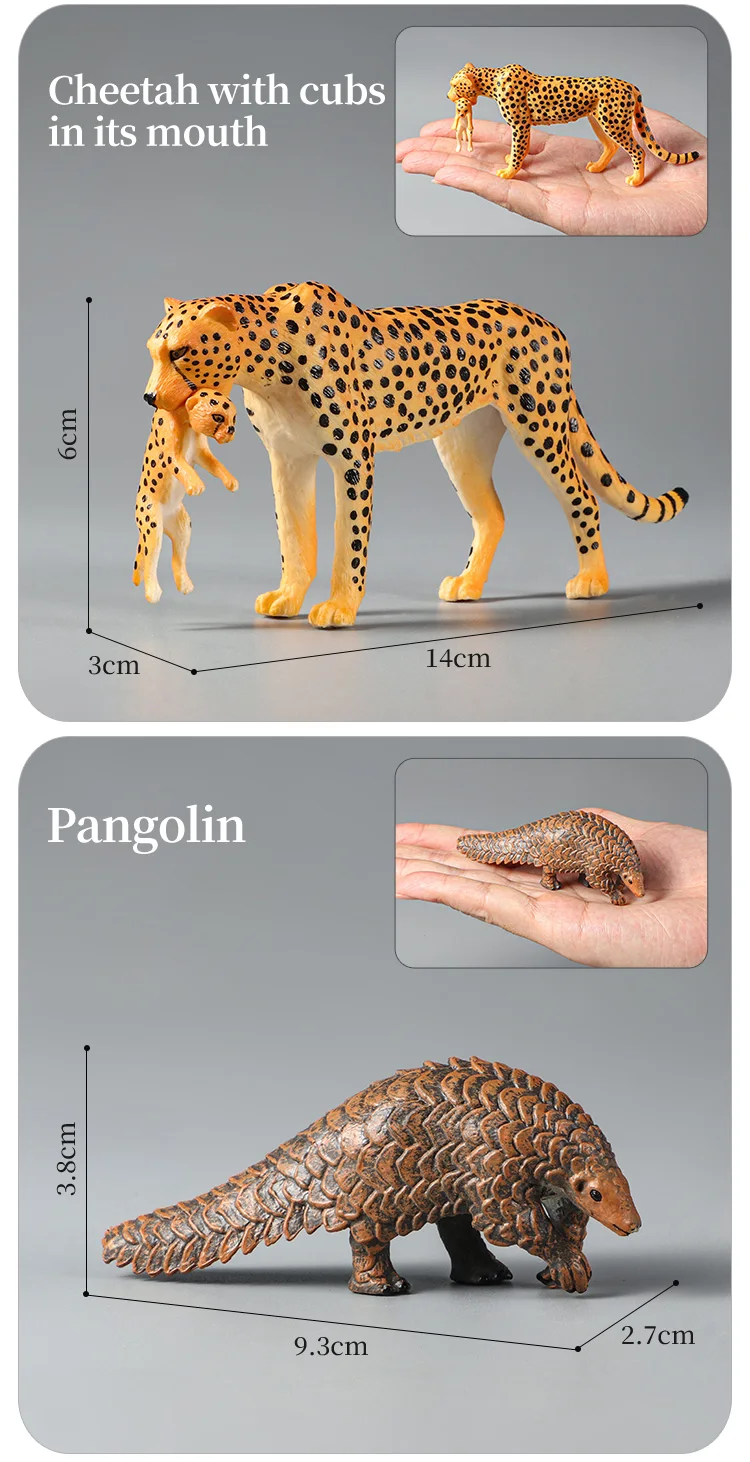Montessori Wildtiere Modell Spielzeug Set – Löwe Elefant Antilope Actionfiguren Miniatur Zoo Figuren Pädagogisches Geschenk für Kinder – Detail 16