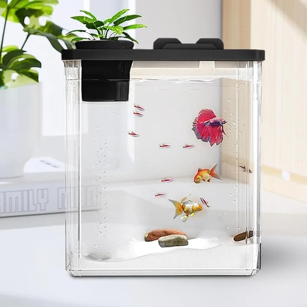 Unmatched Viewing Clarity Achieved With 5 Gallon Fish Tank Starter Kit Exploring Nature And Boosts