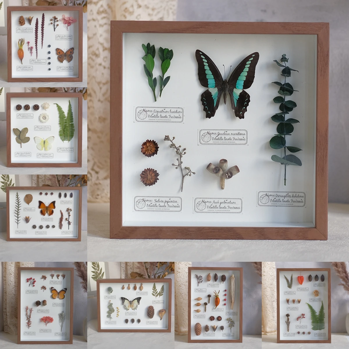 

2097 Butterfly Botanical Shadow Box Art Handmade 3D Framed Preserved Flowers Wall Decor Nature-Inspired Craft Original Gift Home