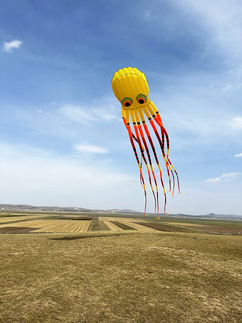 Spedizione gratuita 15m polpo aquilone aquiloni acrobatici professione aquilone volante gigante gonfiabile paracadute di grandi dimensioni aquiloni volanti colorati