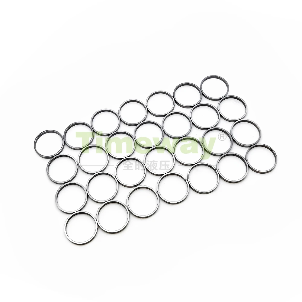 

Ring of Piston A8VO160 Pump Accessories for Repair REXROTH Pump