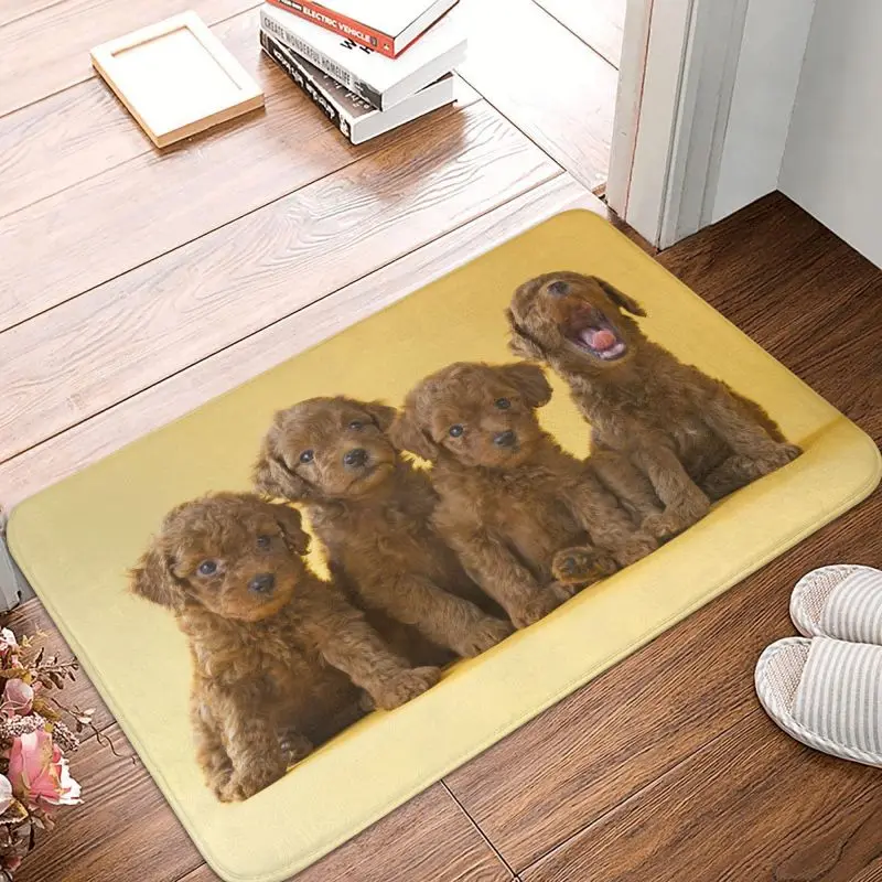 Cute Poodle Dog Pet Print Front Door Floor Entrance Mat Indoor Animal Pattern Bathroom Kitchen Doormat Living Room Carpet Rug