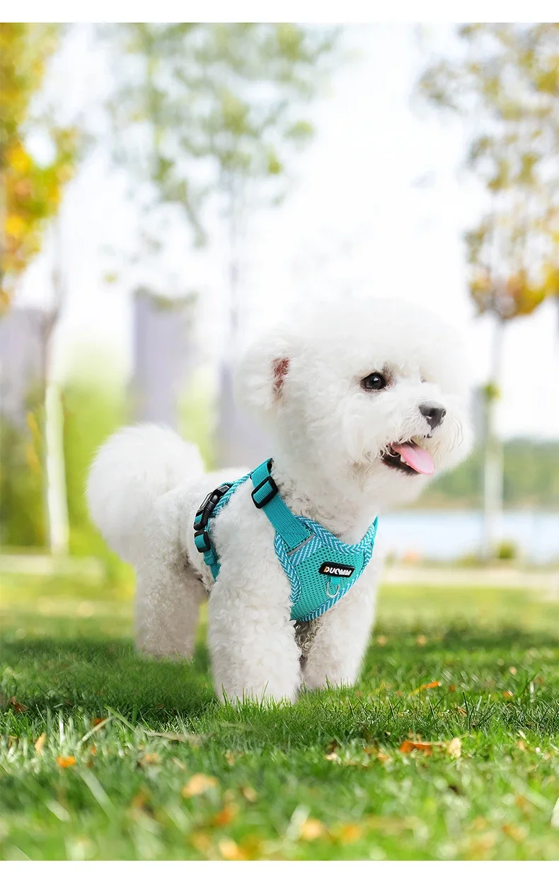 Reflective Breathable Dog Harness And Leash Set For Small Dogs_voghion.com