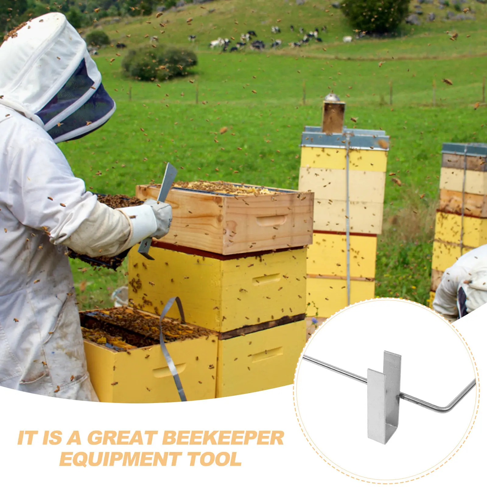 Heavy Duty Stainless Steel Beehive Frame Holder Functional Classic Design Beekeeping Support Tool Space Efficient Hive Nest
