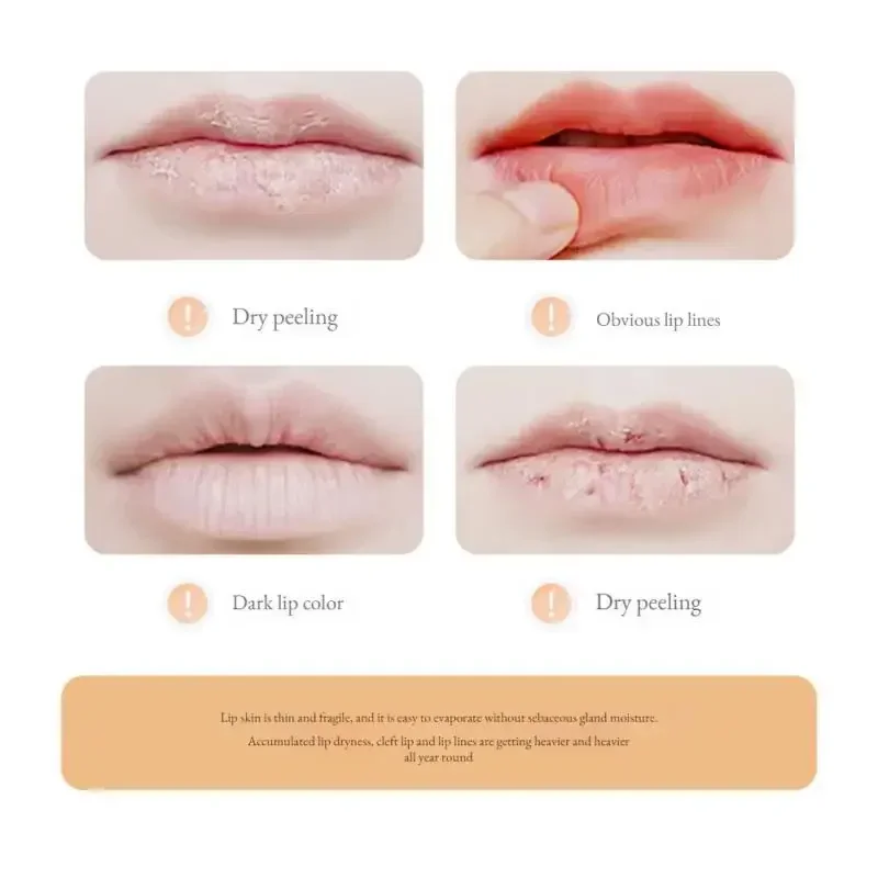 Flower Transparent Lipstick Lasting Moisturizer Crystal Jelly Lipsticks Temperature Color Changing Waterproof Lip Balm