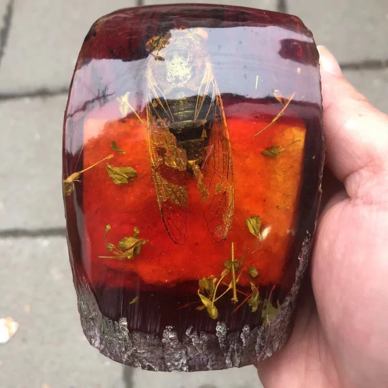 

Antique Crafts Wholesale Resin Amber with Bugs Scorpion Cicada Crab Butterfly Insect Specimen Tree Stump Ornament