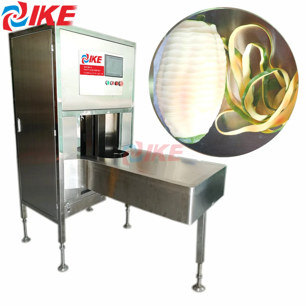 Grand éplucheur industriel de fruits et légumes pour l'épluchage de papaye de citrouille et de cire