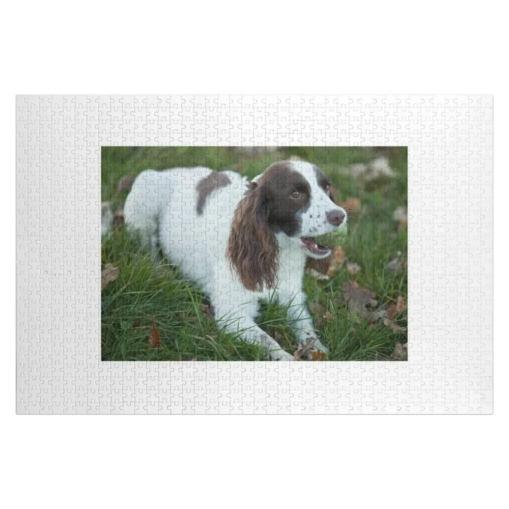 

Springer Spaniel 11 пазл индивидуальная картина Персонализированная игрушка деревянные головоломки для взрослых пазл