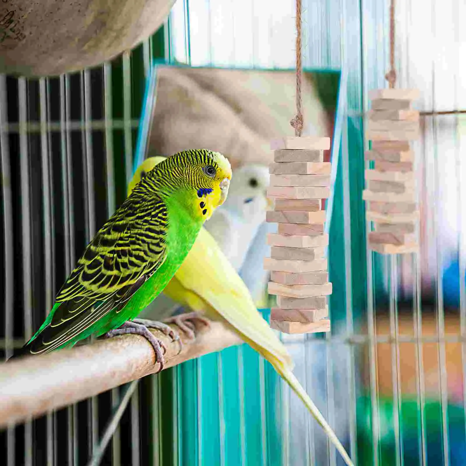 100 Pcs Parrot Chewing Toy Cage Climbing Toys Hanging Bird Cone Tail Cockatiel Biting Wooden