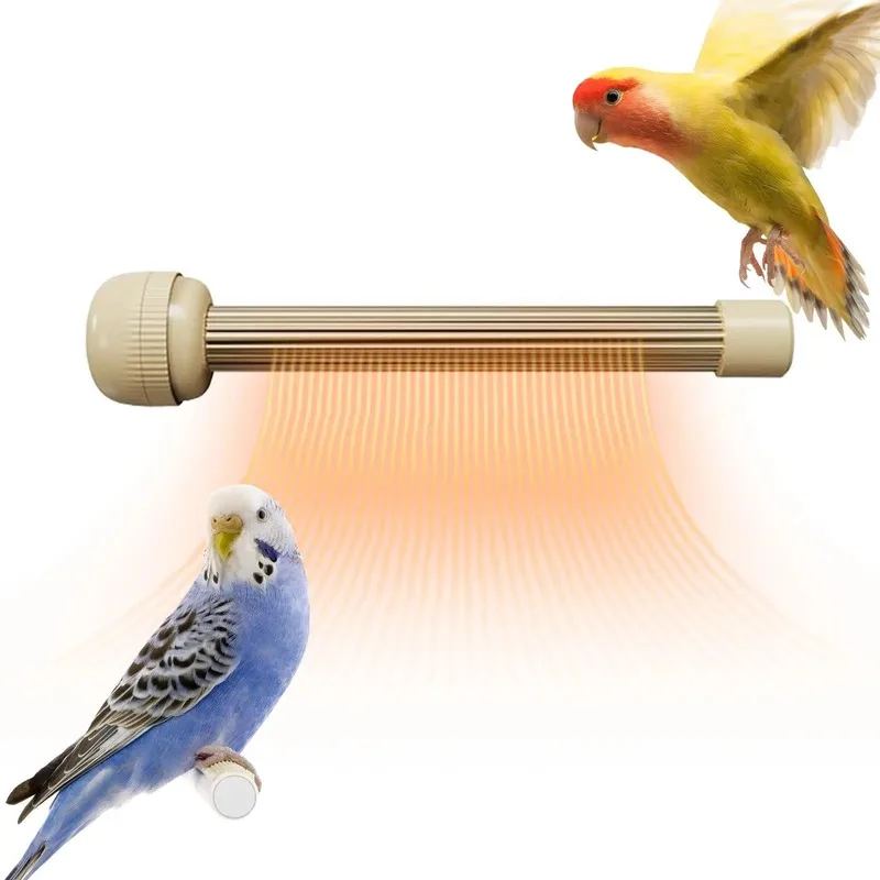 When Should You Avoid Using a Bird Cage Heater?
