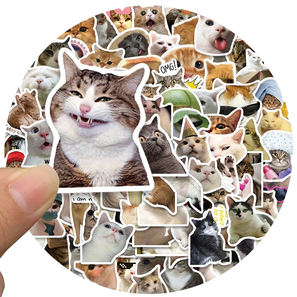 50/100pcs Funny Cat Meme Stickers Water Bottle Kitten Stickers Laptop Luggage Notebook Skateboard Waterproof Vinyl Car Decals