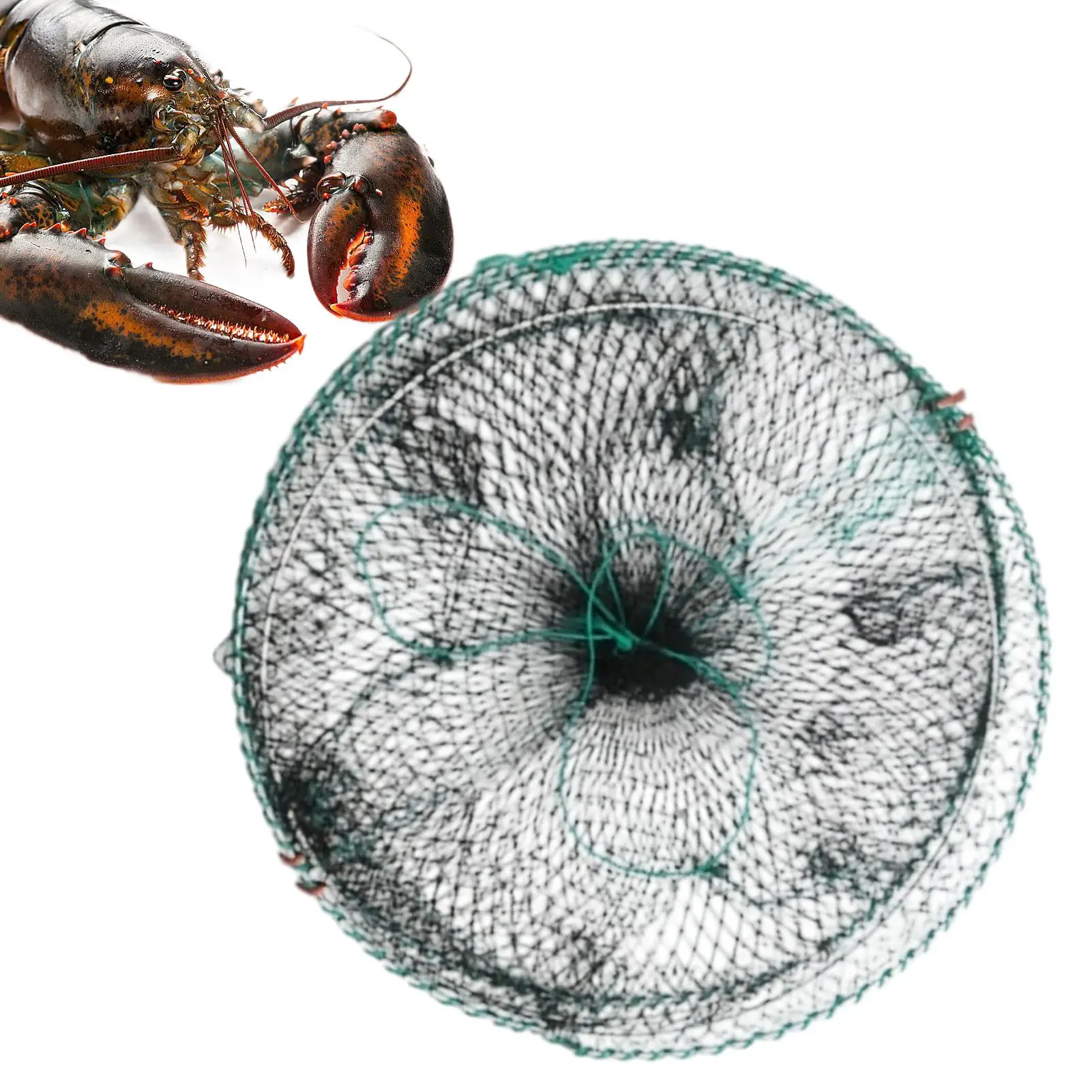 

Minnow Trap Foldable 12 X 24 Inch Automatic Fishing Shrimp Trap Fishing Net Fish Shrimp Minnow Crab Baits Cast Mesh Trap Nets