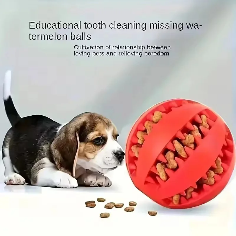 #53 Best Dog Balls to Buy In 2026