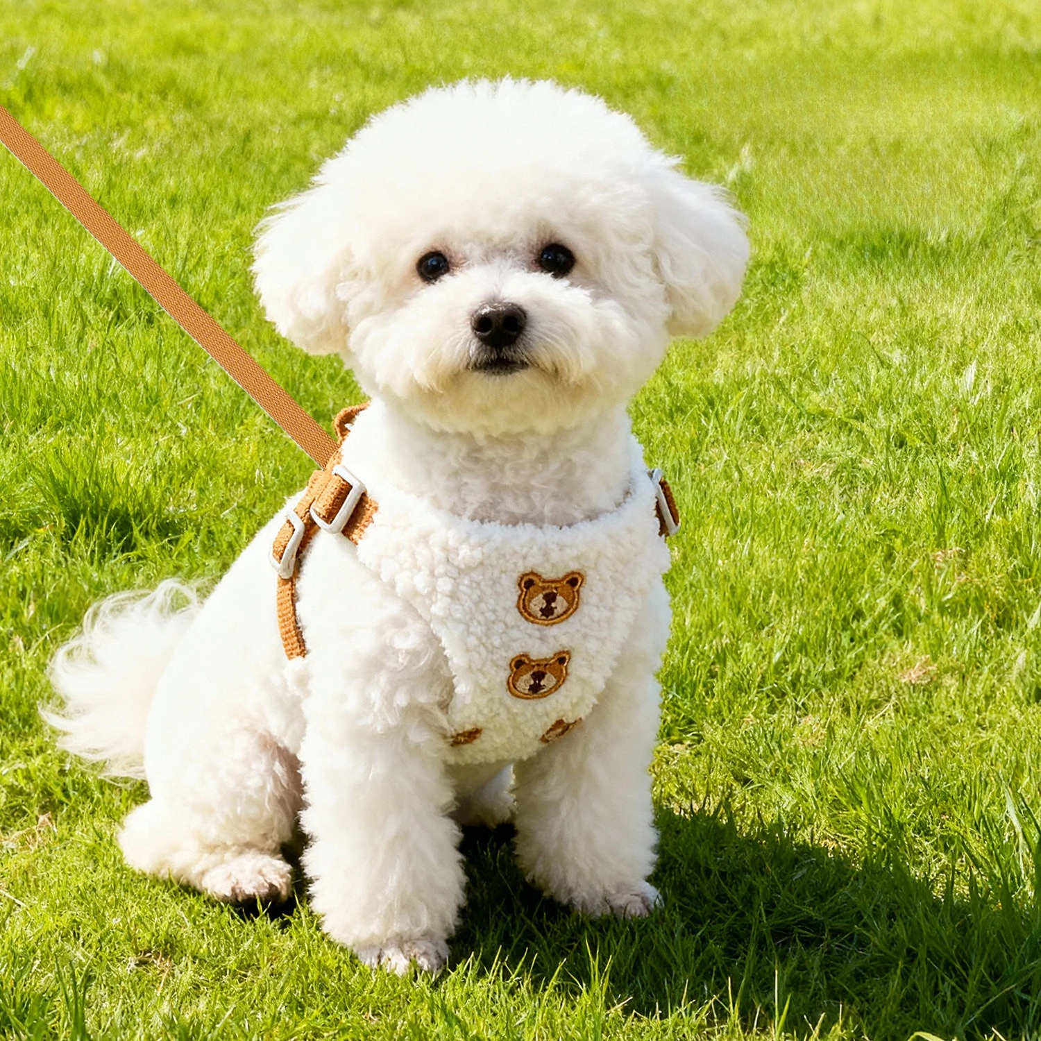 Arnés ajustable para perros y gatos transpirable con diseño de oso - imagen 3