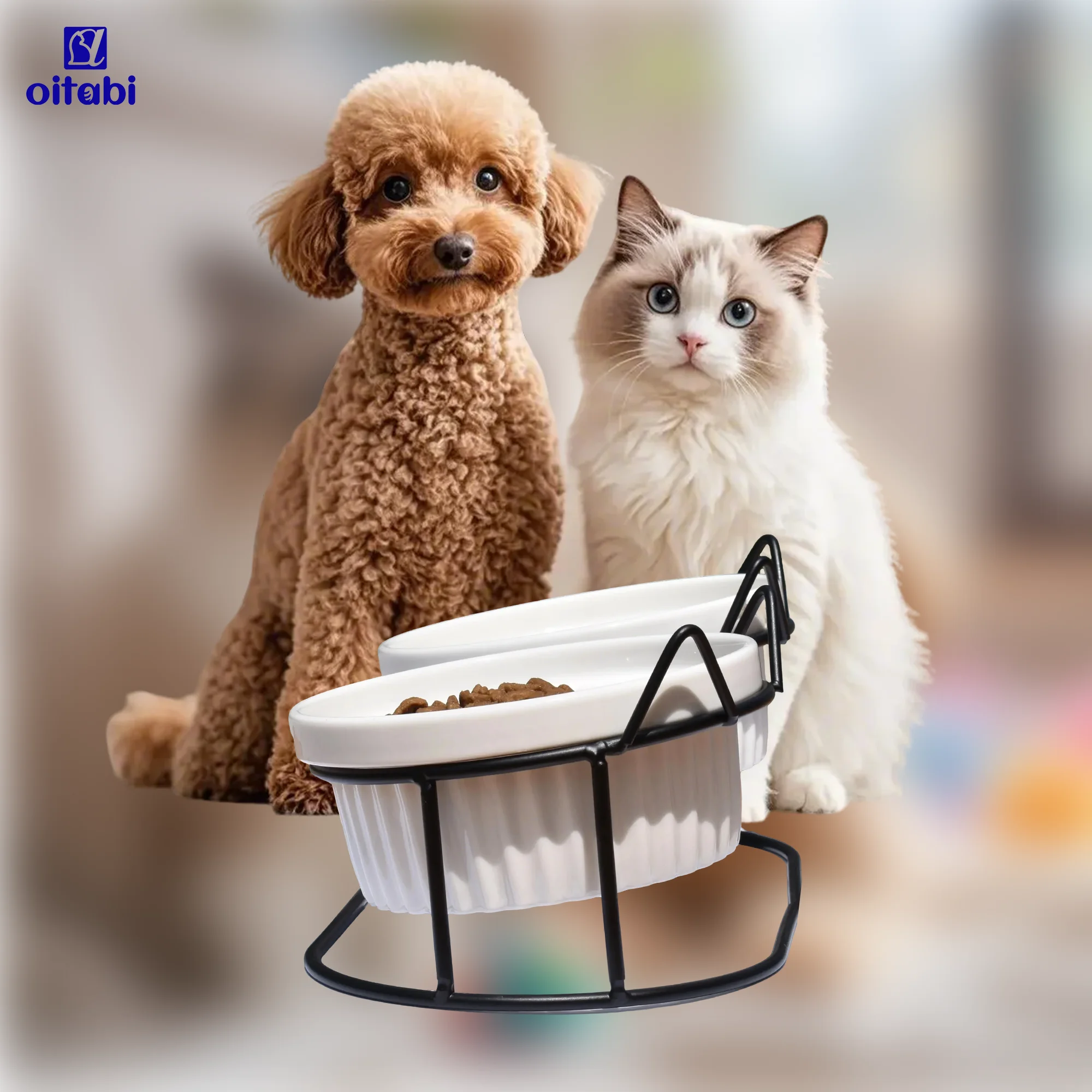 Ciotole per gatti rialzate Oitabi, 15 ° Piatti per gatti rialzati anti-vomito con supporto inclinato per cibo e acqua, 2 ciotole in ceramica per gatti e cuccioli