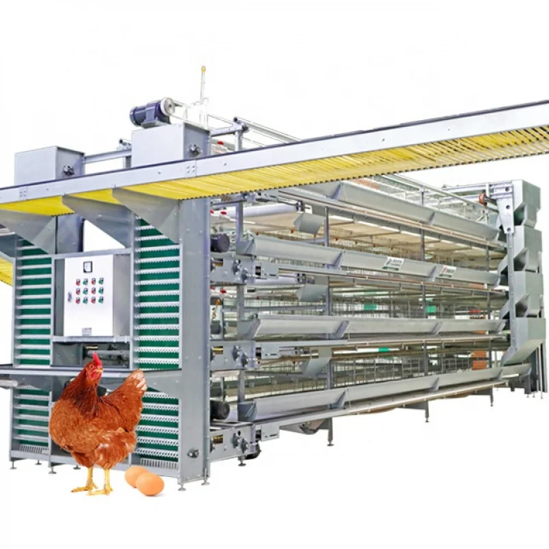 H Type Automatic Chicken Equipment System Laying Poultry Farming
