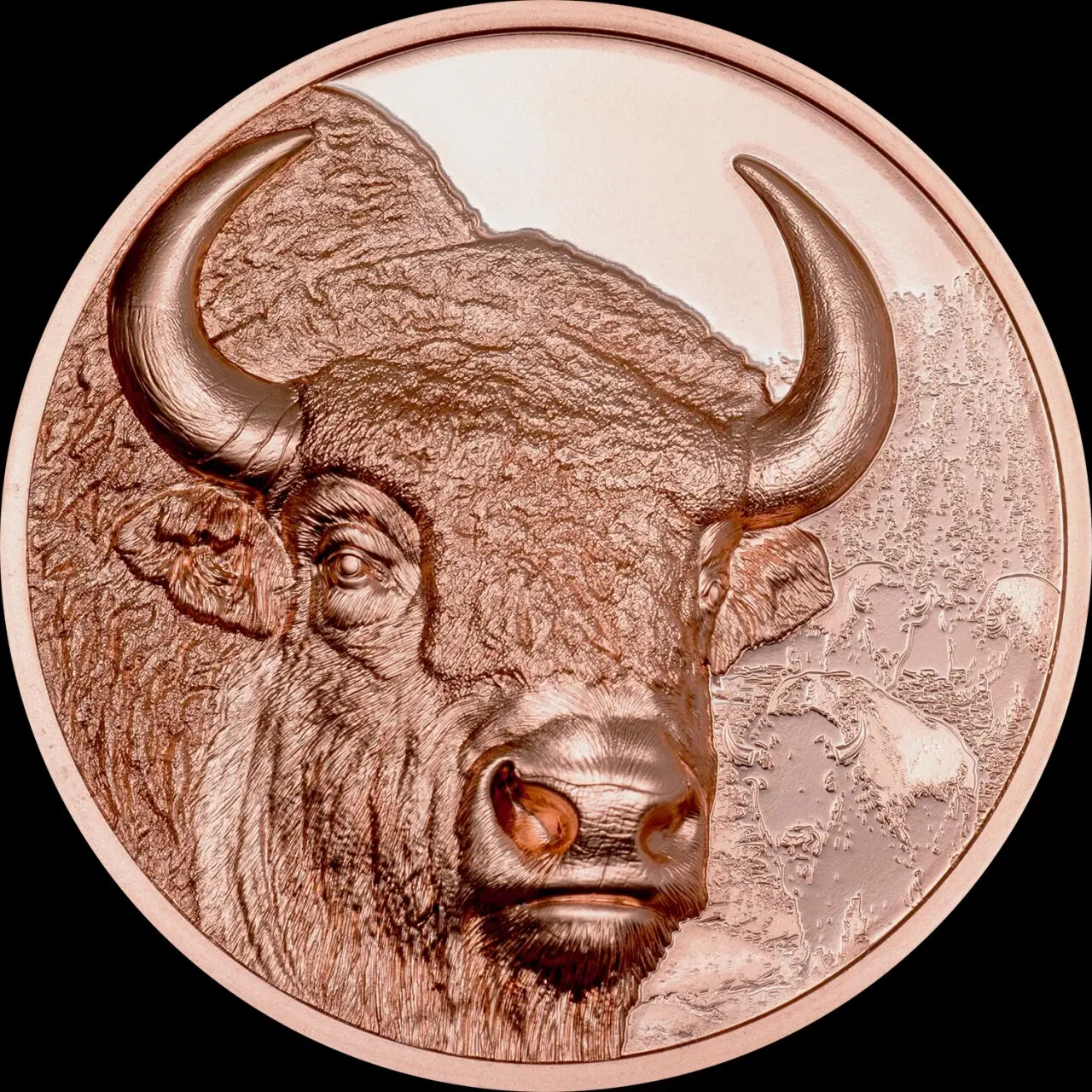 2025 Mongolian Wildlife Series Bison Copper Coin Double sided High Relief Refinement