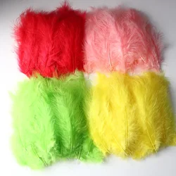 50Pcs Point Tail Down Feather Goose Down Color Crafts Feather Clothing Accessories Gifts Wedding Decoration Materials 9Cm-15Cm