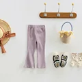 Grey Purple