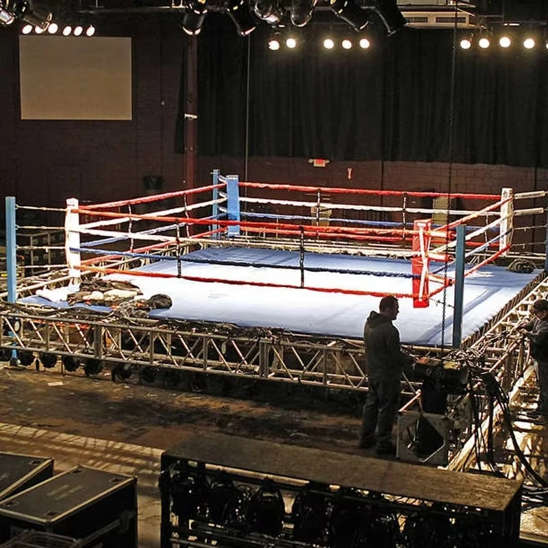 Top Quality Floor Boxing Ring & Professional Boxing Training Equipment for Sale