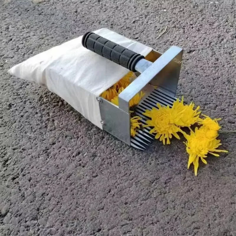 Wild Chrysanthemum Manual Picker Efficient Stem Cut Design Fast Delivery