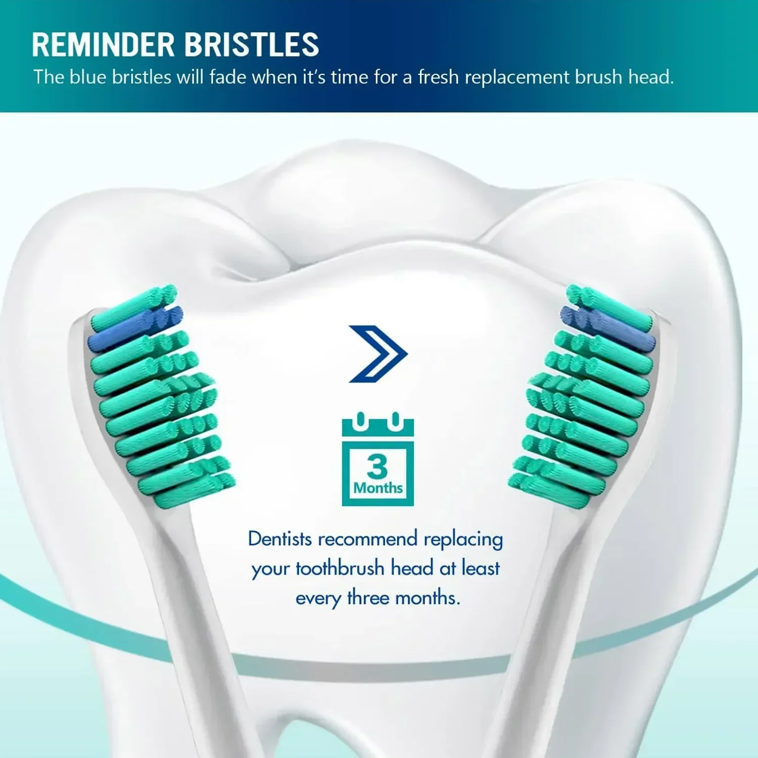 필립스 소닉케어 칫솔과 호환되는 교체 칫솔 헤드, 다이아몬드 클린 플렉스케어 건강 화이트, 4 개, 8 개, 12 개, 16 개