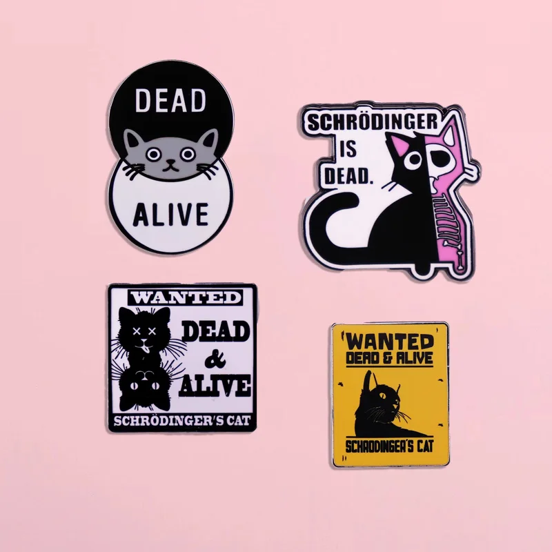 재미있는 양자 역학 슈뢰딩거 고양이 에나멜 핀, 유머러스 펑크 배지 브로치, 친구를 위한 독특한 보석 액세서리