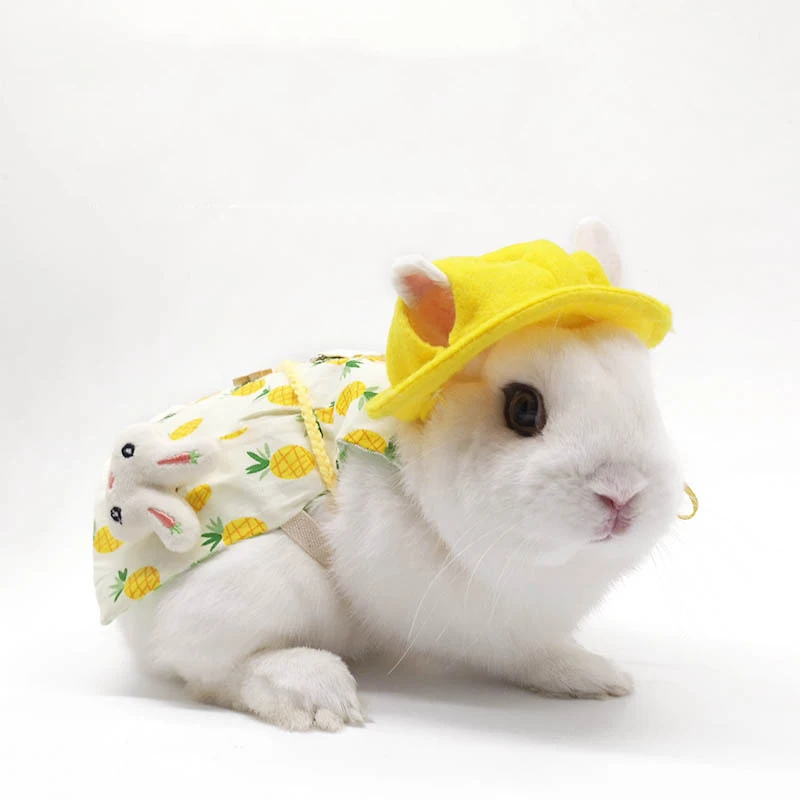 Animals Wearing Cap Hat Pet Clothing Accessories for Guinea Pig Rabbit Squirrel