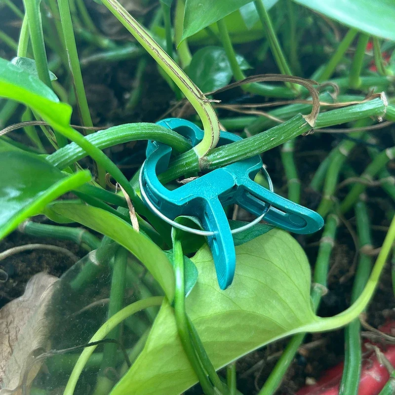 20 قطعة مقاطع ثابتة للنباتات قابلة للتعديل قابلة لإعادة الاستخدام قوس الدفيئة تحديد ينبع زهرة الكرمة الخضروات الطماطم السحابة حديقة أداة #3