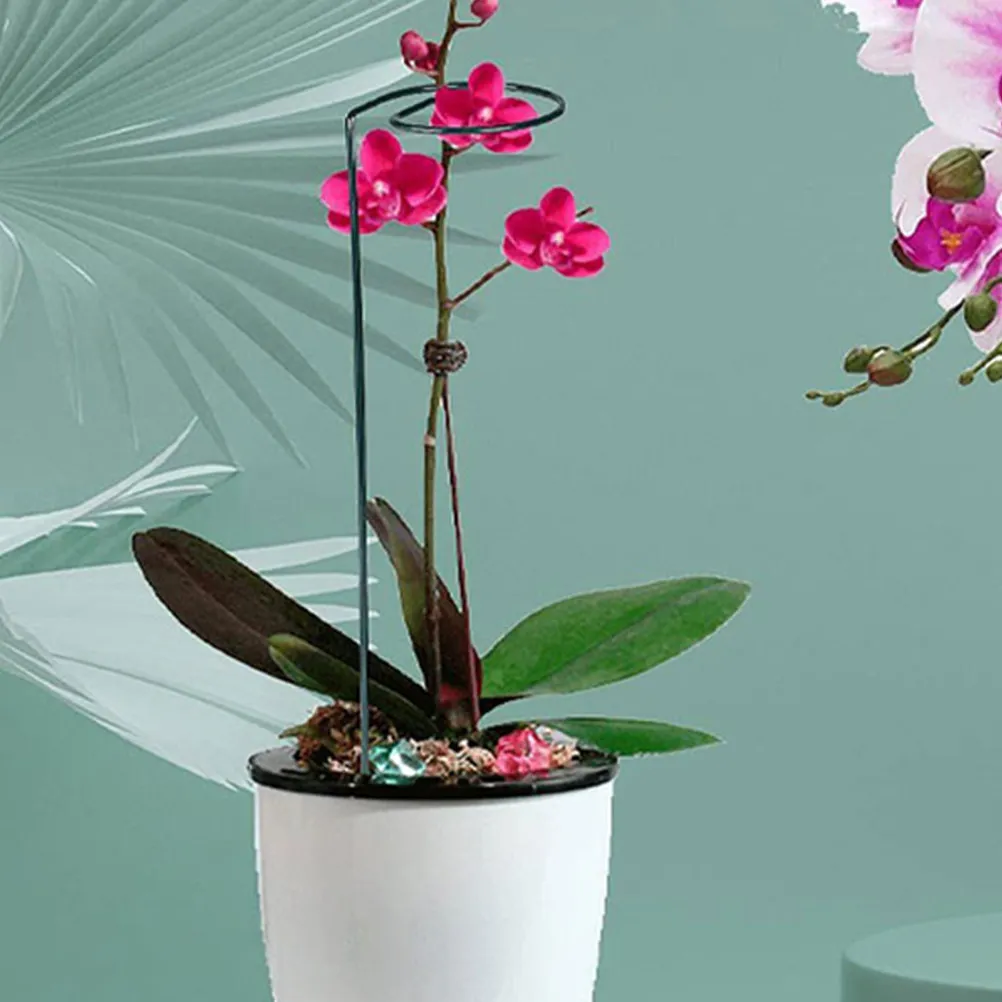 

Набор из 12 опор для вьющихся растений, уличная садовая решетка, каркас для формирования лозы, подставка для вьющихся растений, садовые принадлежности, поддержка для растений