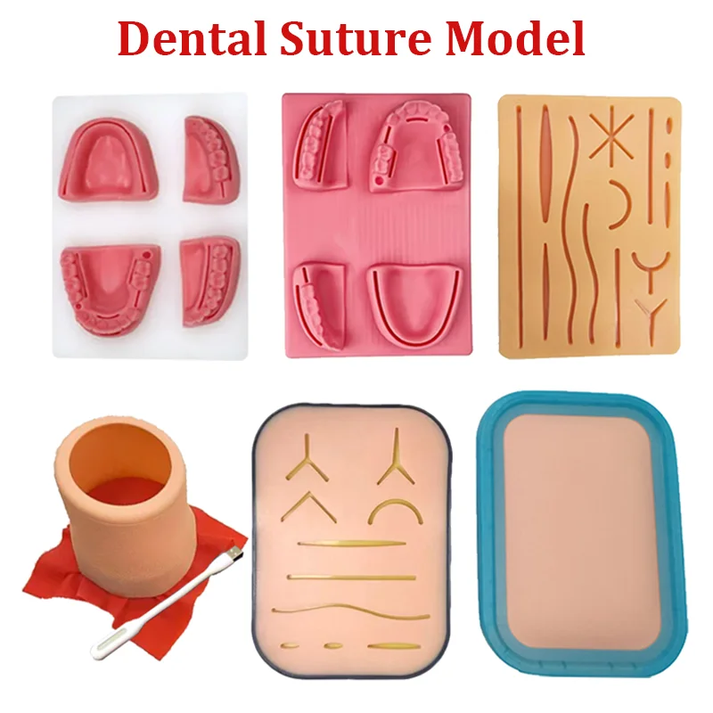 

Dental Oral/Gingival Suture Model Medical Skin Suture Pad Periodontitis Suture Silicone Model Dentisit Teaching Training Tools
