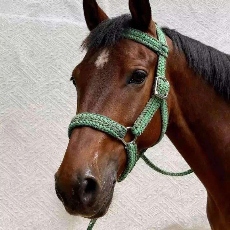 2025 بالجملة رسن حصان شخصي ناعم ولكن قوي حبل نايلون تصميم شعار مخصص خيار معدات الحصان
