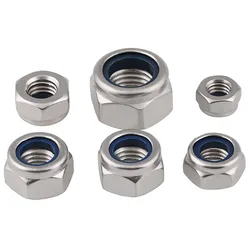 M2 -M10 M12 M14 M16 M18 M20 M22 M24 304 Stainless Steel Nylon-Insert Locknuts Self-locking Hex Nut Locknut Slip Lock Nut