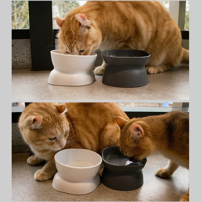 Pet Dishes Bowls with Stand for Kitten Small Dogs Food & Water Bowl White Black Tilted Elevated Bowl Protect Pet's Spine B03E