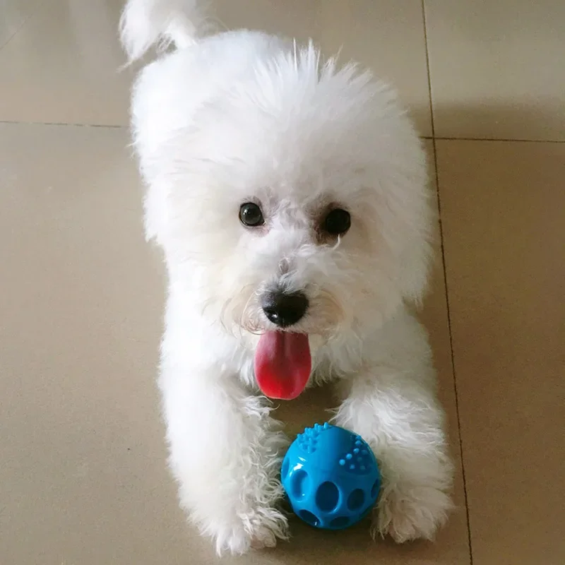 Pet dog toy ball sounding toy resistant to grinding teeth