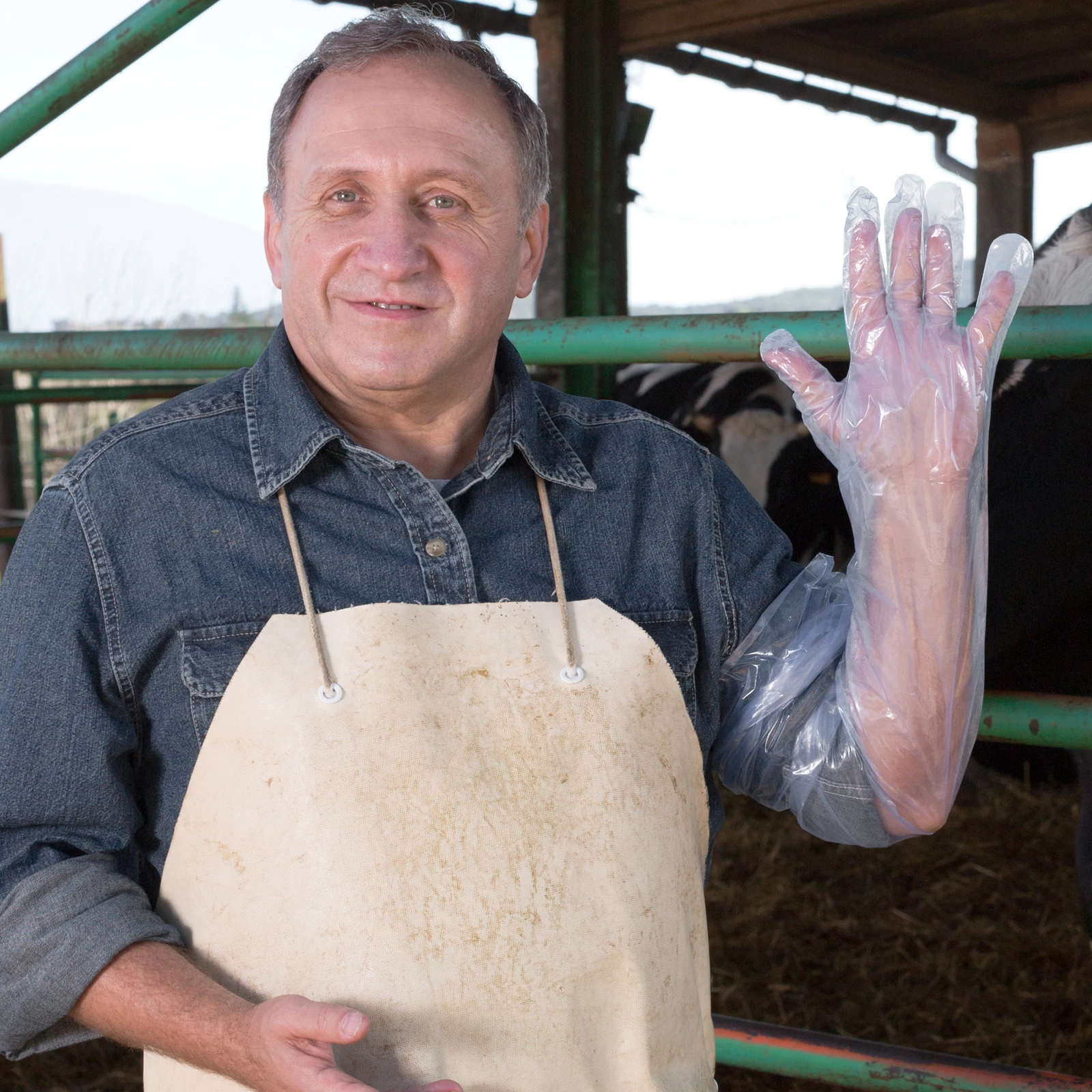

50pcs Long Arm Gloves Disposable Plastic Film For Cattle Farm Use 85Cm Lightweight Eco-Friendly Nontoxic