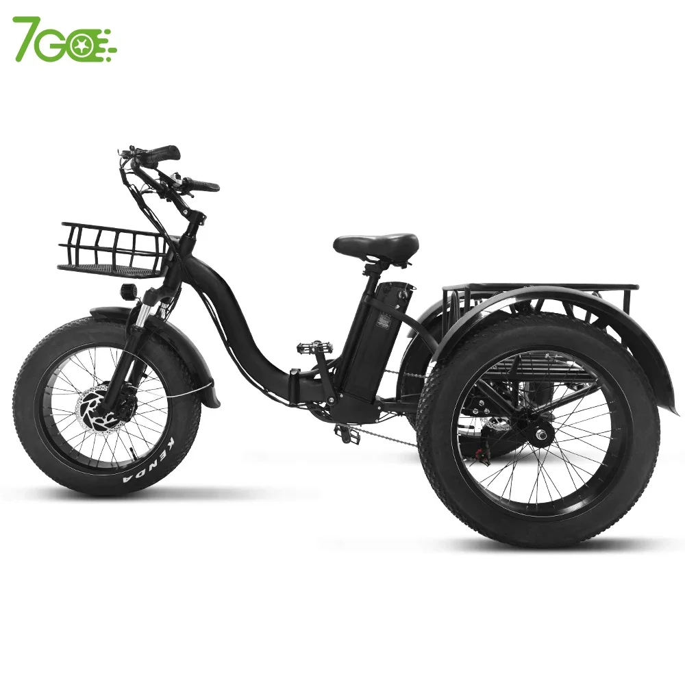 20 Inch Electric Trike Adults 750W Motor Fat Tire 3 Wheel Tricycle Bike Electro Three Wheels Adult Cargo Electric Bike